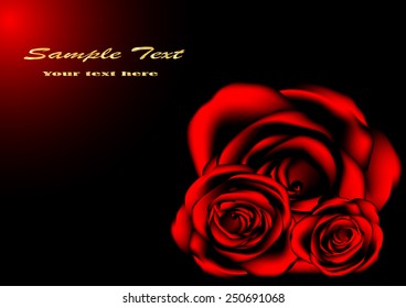 Roses vector background graphics for valentine