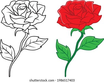 roses vector illustration isolated on white background