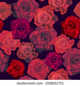 Roses vector seamless pattern in dark back