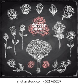 Roses vector set. Flower illustrations in sketch style. Hand drawn design elements.