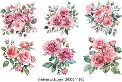 Roses Watercolor flower illustration. Hand drawn underwater element design