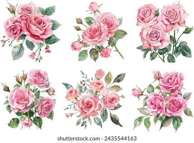 Roses Watercolor flower illustration. Hand drawn underwater element design