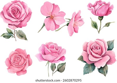 Roses Watercolor illustration. Hand drawn underwater element design	