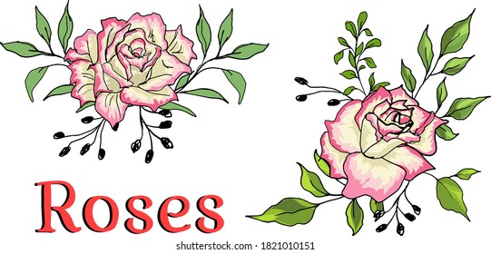 Roses for wedding cards. Design elements for a holiday. Vector