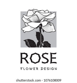 Rose-vector logo image.
Black and white graphic illustration of flowers clip art, pattern for floral design element for logo or template.