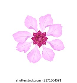 Rosewood Flower isolated on white background. Vector cartoon illustration. Floral icon.