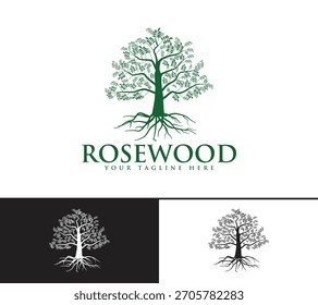 Diseño del logotipo del árbol de palisandro, Imagen de Vector
