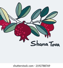 Rosh Hashana greeting vector background. Wishing Happy New Year in Hebrew. Hand-lettered text decorated with hand drawn pomegranate branch. Isolated on the white