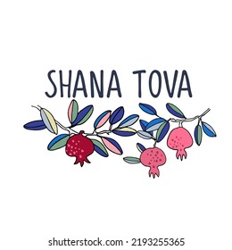 Rosh Hashana greeting vector background. Wishing Happy New Year in Hebrew. Hand-lettered text decorated with hand drawn pomegranate branch. Isolated on the white