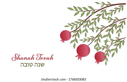 Rosh Hashana, Jewish New Year, Pomegranate Tree, Pomegranate Background 