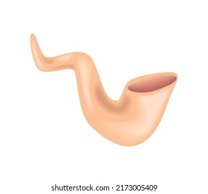 rosh hashanah horn icon isolated