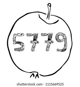Rosh HaShanah. The Jewish New Year. 5779 year in the apple. Doodle. hand draw. Vector illustration