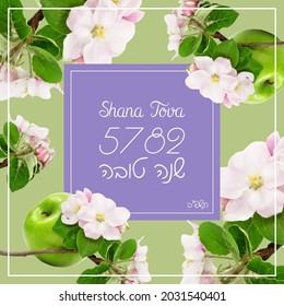 Rosh Hashanah Jewish New Year holiday greeting card.Shana Tova - Blessing for good year in Hebrew,isolated background with traditional green juicy apples. Invitation for 5782 year Jewish calendar.