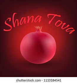 Rosh Hashanah, Shana tova, pomegranate . Vector illustration EPS10