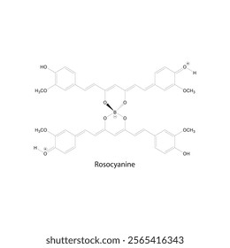 Rosocyanine skeletal structure diagram.Curcuminoid compound molecule scientific illustration.