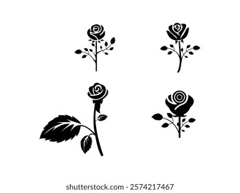 Ross Flowers vector art illustration.   roses isolated on white transparent background. a Ros vetch leaves vector silhouette artwork illustration