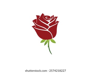 Ross Flowers vector art illustration.   roses isolated on white transparent background. a Ros vetch leaves vector silhouette artwork illustration.