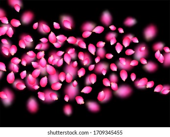 Rosy delicate petals blowing by wind over black background. Sakura spring tree blossom parts confetti. Flower petals vector illustration for 8 March card. Seasonal wallpaper.