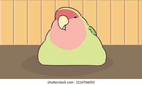 Rosy Faced Lovebird Sitting Vector