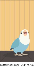 Rosy Faced Lovebird Smiling In An Apartment