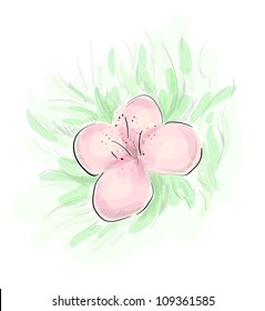 Rosy flower eps 10 stylized vector sketch. Monochrome strokes and light transparent colors