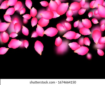 Rosy romantic petals flying over black background. Apricot spring tree blossom parts confetti. Flower petals vector illustration for wedding decoration. Seasonal wallpaper.