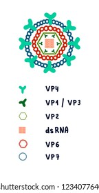 Rotavirus structure illustration complex architecture genome proteins hand drawn in minimalistic style for posters banners prints presentations and articles virology and science scheme