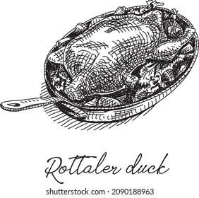 Rottaler duck, Christmas vector. Sketchy hand-drawn illustration.