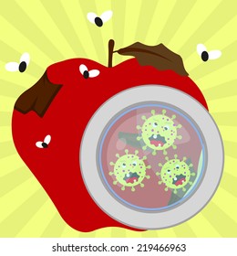 Rotten apple with flies and germs enlarged by a magnifying glass. Rotten apple with germs and flies