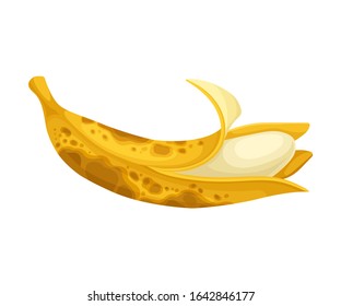 Rotten Banana with Stinky Rot Covered the Skin Vector Illustration