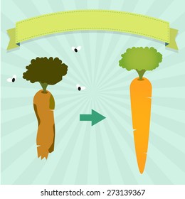 Rotten carrot. New carrot and rotten carrot with flies. Blank ribbon for insert text.