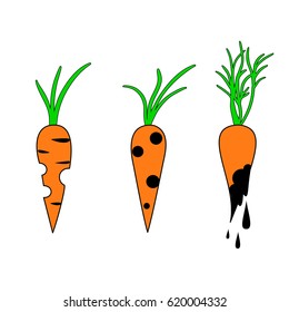 Rotten carrots
