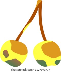 Rotten cherry illustration 2