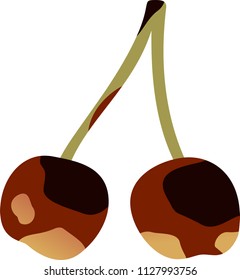 Rotten cherry illustration