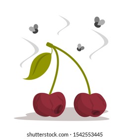 Rotten cherry vector isolated. Bad dirty food, damaged berry. Stinky bruised fruit. Food garbage.