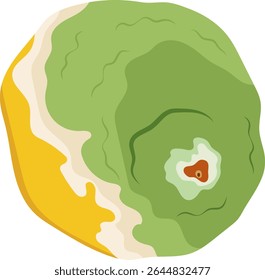 Rotten or Decay Lemon Fruit Illustration Isolated on White Background