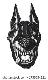 Rotten dog's head isolated on white. Rotten flesh. Vector illustration.