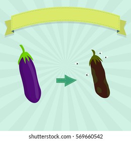 Rotten eggplant with flies and fresh eggplant. Blank ribbon for insert text.