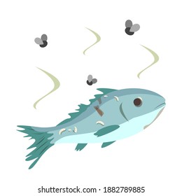 Rotten fish vector isolated. Damaged product, danger for health, concept of food poisoning. Stinky fish, flies flying around the rotten fish.