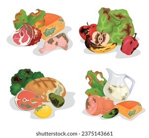 Rotten food 2x2 design concept set of four compositions consisting of toxic moldy expired products isolated vector illustration