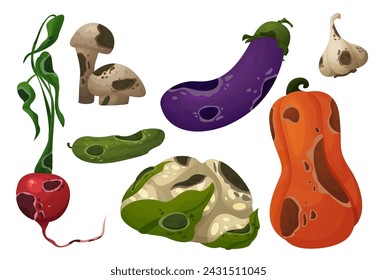 Rotten food with rot and mold. Cartoon vector illustration set of dirty spoiled vegetables. Damaged moldy meal contaminated with fungal spots for compost or recycle concept. Danger product.