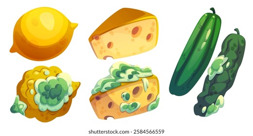 Rotten food set isolated on white background. Vector cartoon illustration of spoiled lemon, cheese, cucumber with dirty mold and fungus on skin, waste fruit, dairy product and vegetable, organic trash