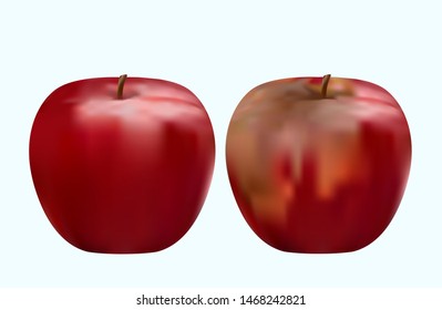 rotten and fresh apple, red apples, vector illustration