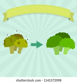 Rotten and fresh broccoli. Rotten broccoli with flies and fresh broccoli. Blank ribbon for insert text.