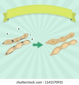 Rotten and fresh soybean pod. Rotten soybean pod with flies and fresh soybean pod. Blank ribbon for insert text.