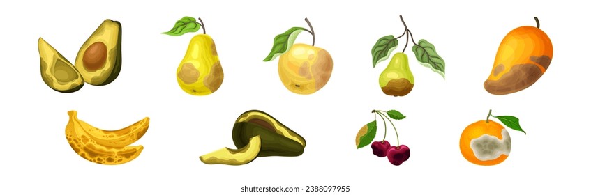 Rotten Fruit with Spoiled Bad Unhealthy Food Vector Set