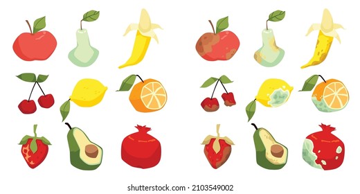 Rotten fruits slowly decay vs fresh fruits, food waste vector concept set. Spoiled and molded apple, banana, avocado and strawberry cartoon icons. Damaged lemon, orange, strawberry and pear.