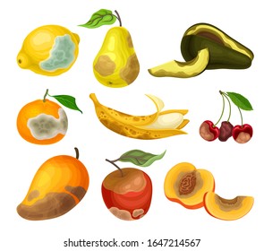 Rotten Fruits with Stinky Rot Covered the Skin Vector Set