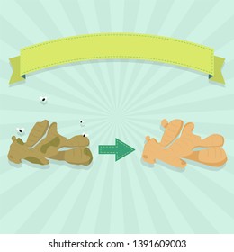 Rotten ginger with flies and fresh ginger. Blank ribbon for insert text.