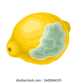 Rotten Lemon with Stinky Rot Covered the Skin Vector Illustration